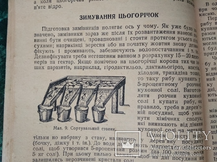 "Ставкове рибне господарство колгоспів України" І.М.Ростовцев.Київ 1946 Харків., фото №7