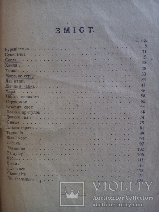 Днипрова чайка Киев 1919 г., фото №5