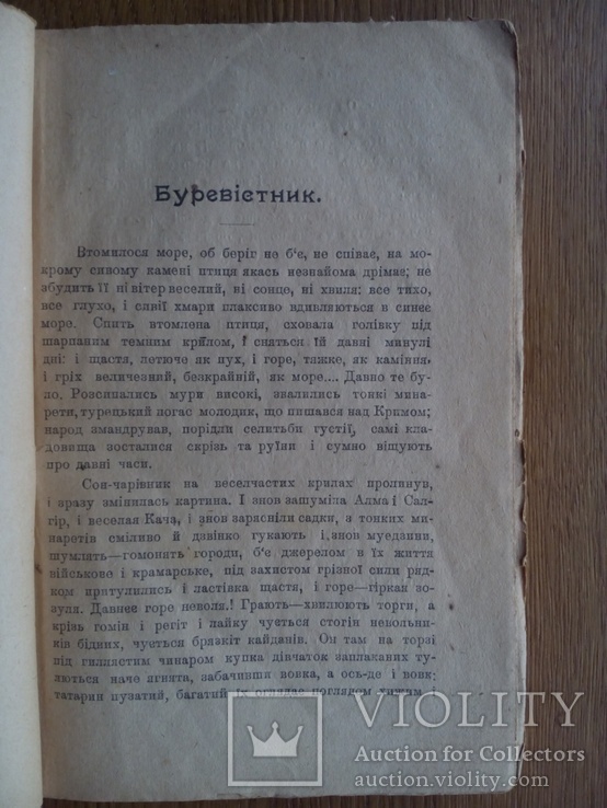 Днипрова чайка Киев 1919 г., фото №6