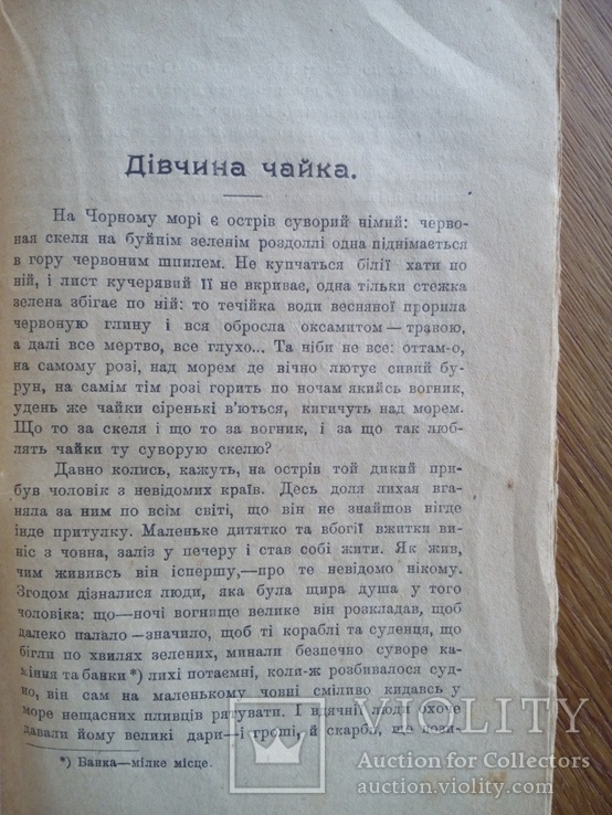 Днипрова чайка Киев 1919 г., фото №7