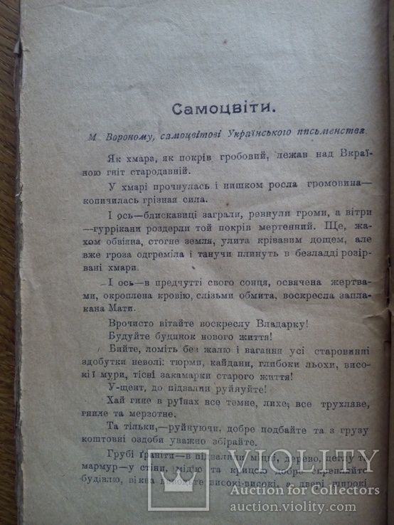 Днипрова чайка Киев 1919 г., фото №10