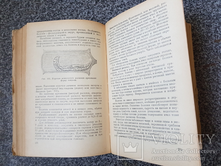 Пчеловодство 1952 год., фото №8