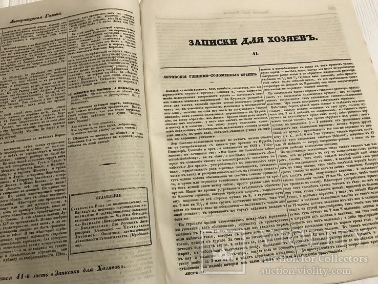 1845 Библиография, 100 русских литераторов, Литературная газета, фото №8