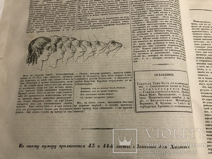 1845 Фабрикация мебели, О разведении табака, Литературная газета, фото №9