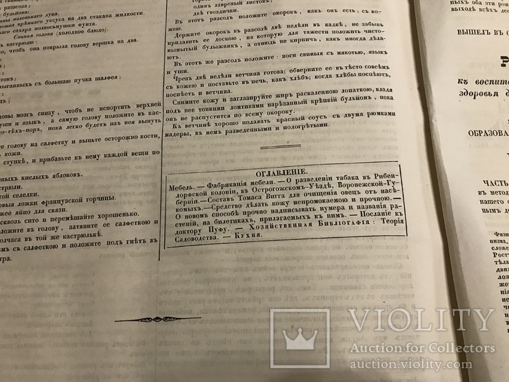 1845 Фабрикация мебели, О разведении табака, Литературная газета, фото №12