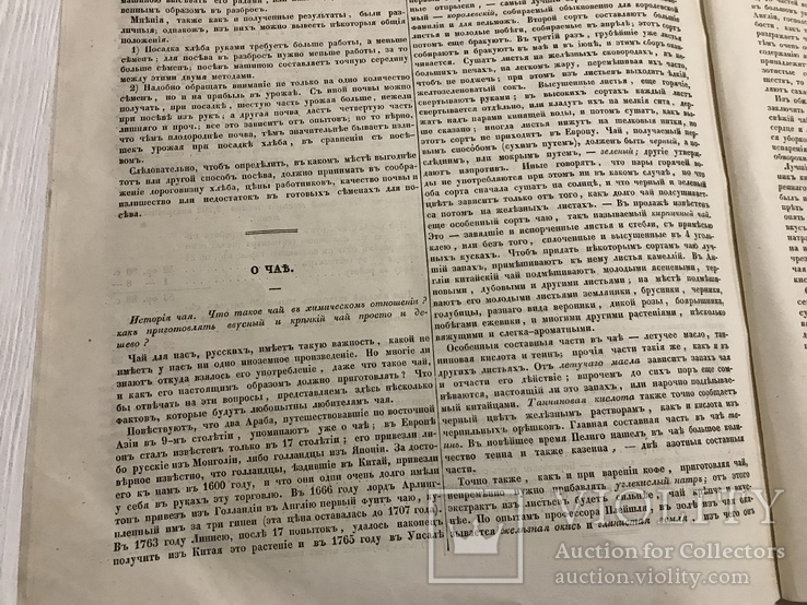 1845 Русская соколиная Охота, О чае, Литературная газета, фото №12