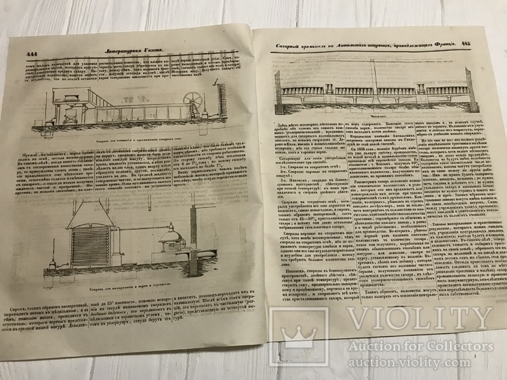 1845 Сахарный промысел, Литературная газета, фото №3
