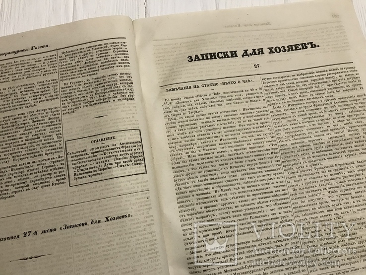 1845 Сахарный промысел, Литературная газета, фото №8
