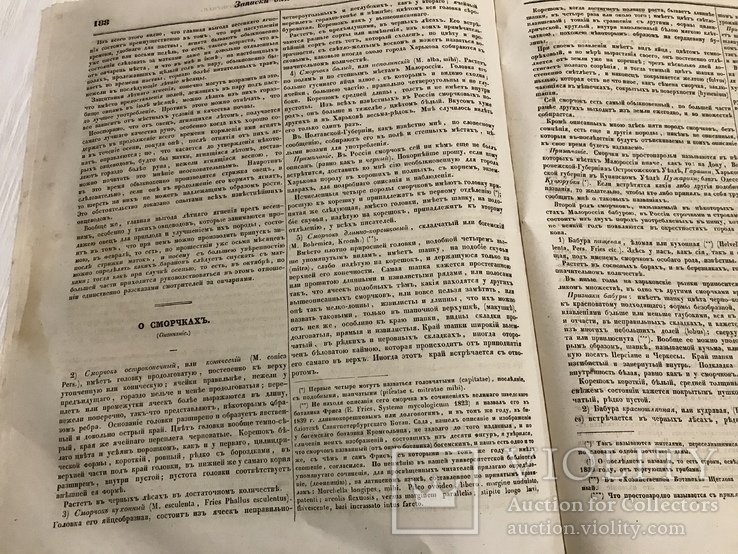 1845 О сморчкахь, Рассказ Лотерейный зал, Литературная газета, фото №10