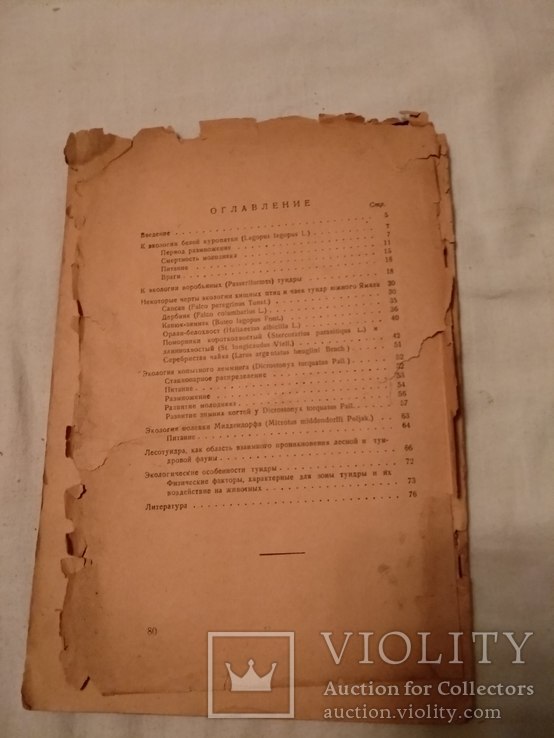 1929 Птицы с автографом автора, фото №6