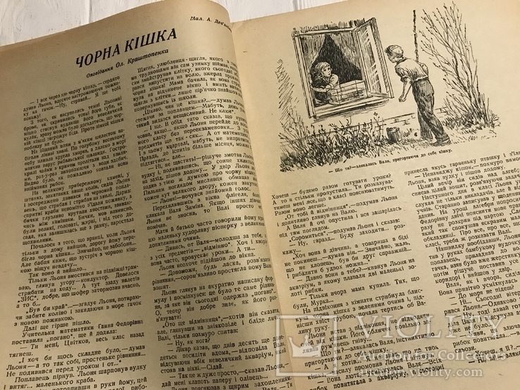 1940 Олесь Гончар Яблуко довголіття, Піонерія, фото №5