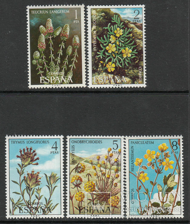 Испания 1974 флора