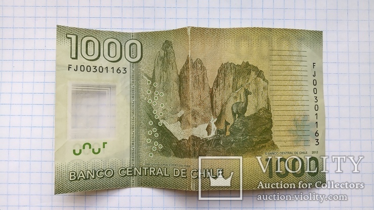 1000 чилийских песо, пластик.., фото №2