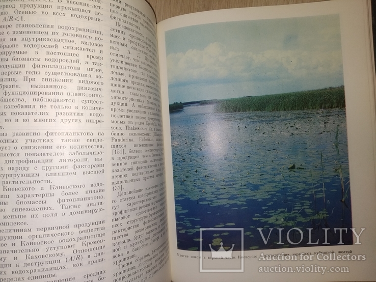 1989 Днепр растительность и бактериальное население .АН СССР гидробиология экология, фото №6