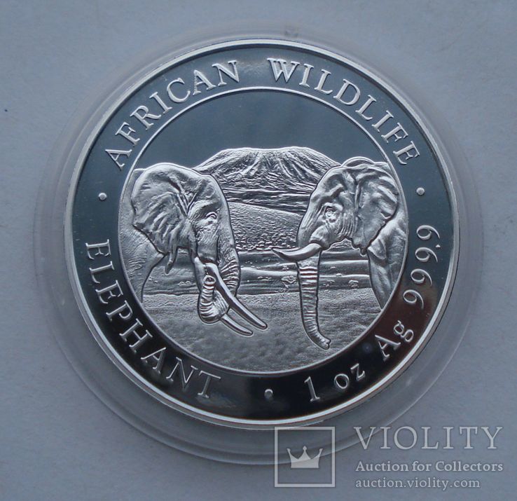 2020 г - 100 шиллингов Сомали,унция серебра,в капсуле, фото №6