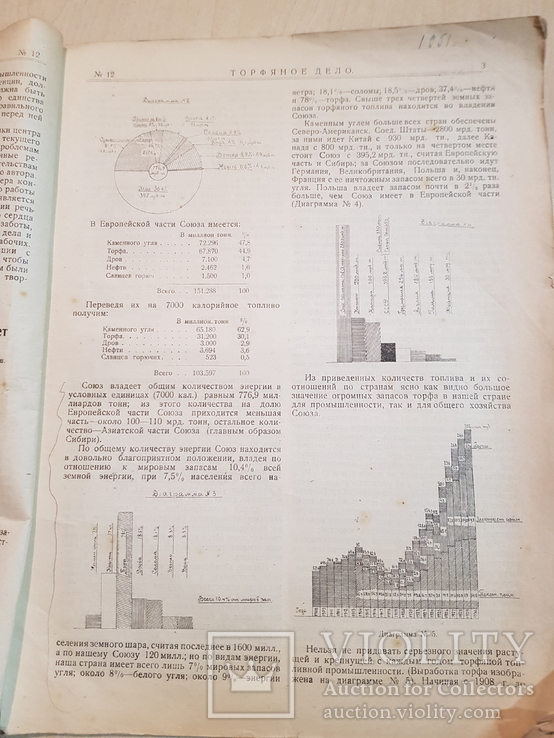 Торфяное дело 1925 год № 12, фото №3