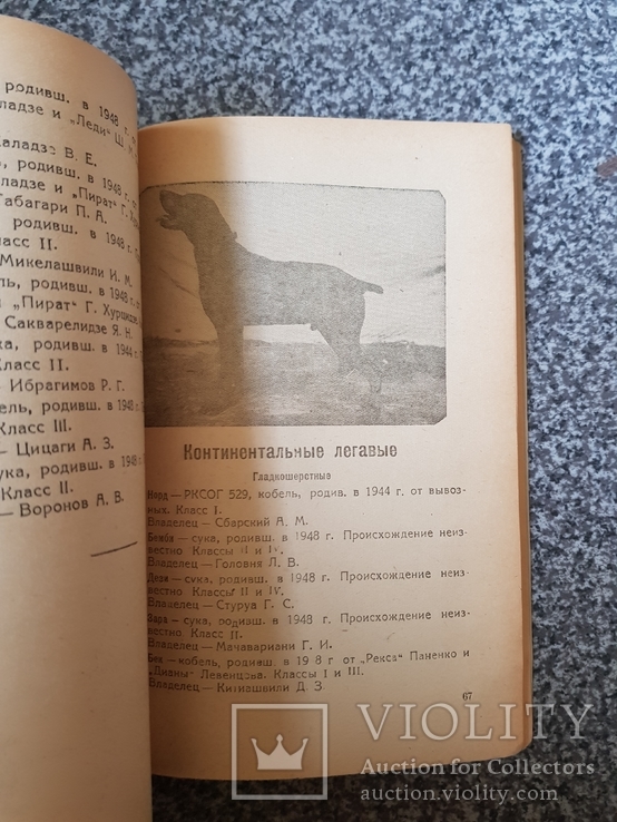 Каталог охотничьих собак всегрузинской выставки 1949 год., фото №5