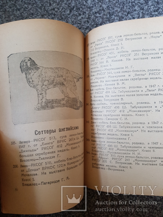 Каталог охотничьих собак всегрузинской выставки 1949 год., фото №6