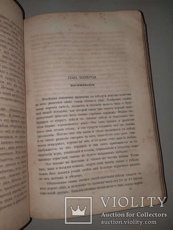 1866 Жизнь птиц с 27 цветными иллюстрациями, фото №5