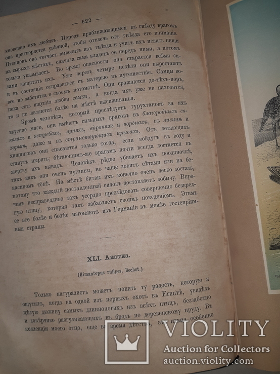 1866 Жизнь птиц с 27 цветными иллюстрациями, фото №13