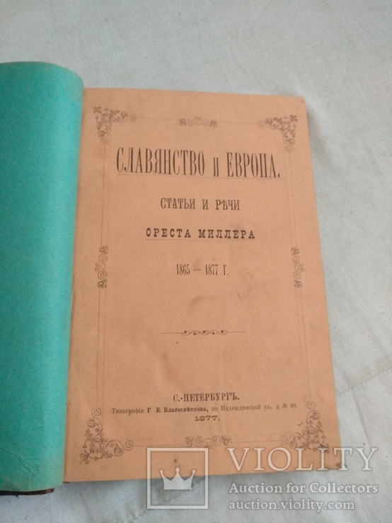 1877 Славянство и Европа, фото №2