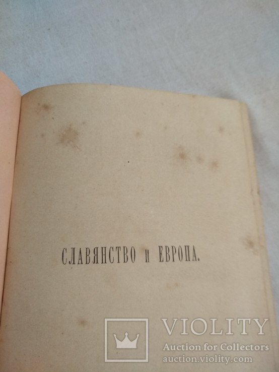 1877 Славянство и Европа, фото №4