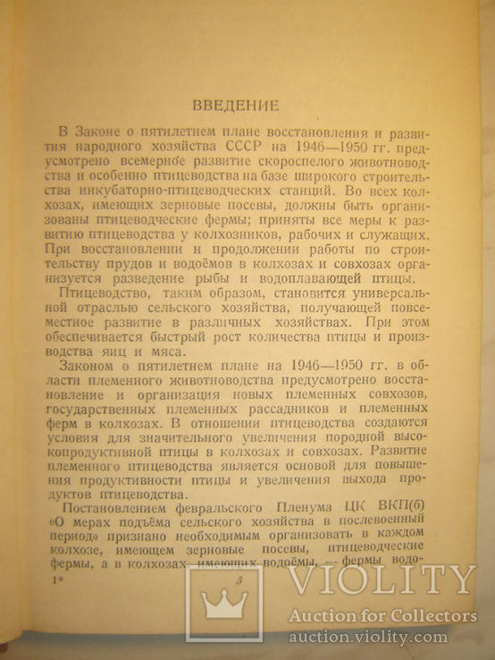 Птицеводство. 1948г., фото №4