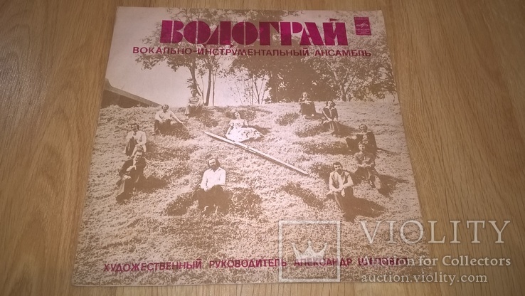 ВІА Водограй (Водограй) 1978. (LP). 12. Vinyl. Пластинка. Rare.