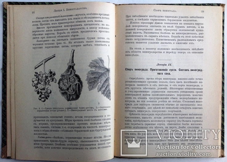 1911  Основы виноделия. Лялин Л. М., фото №8