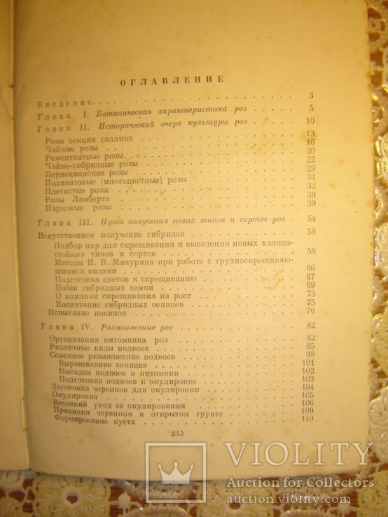 Розы. 1949г, фото №7