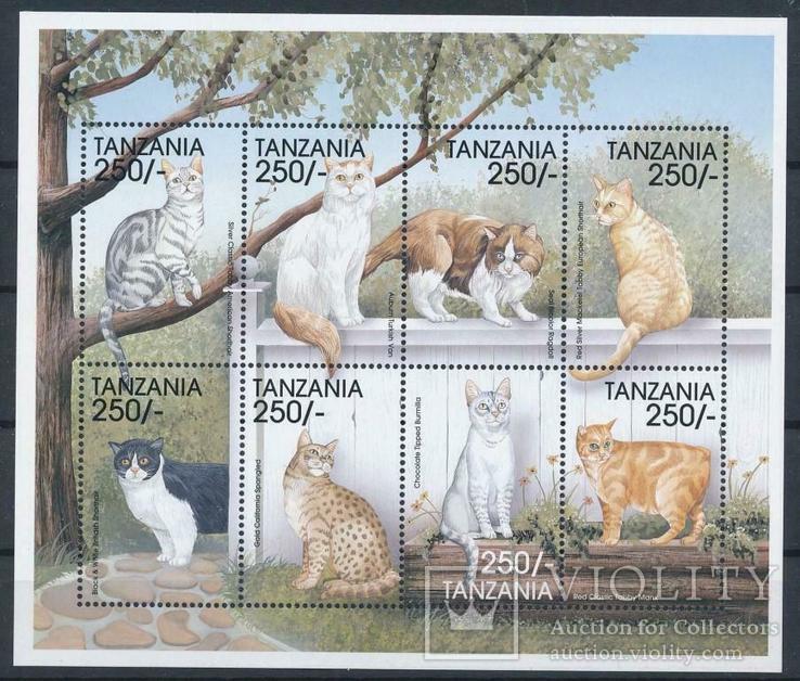 Танзания кошки, коты MNH
