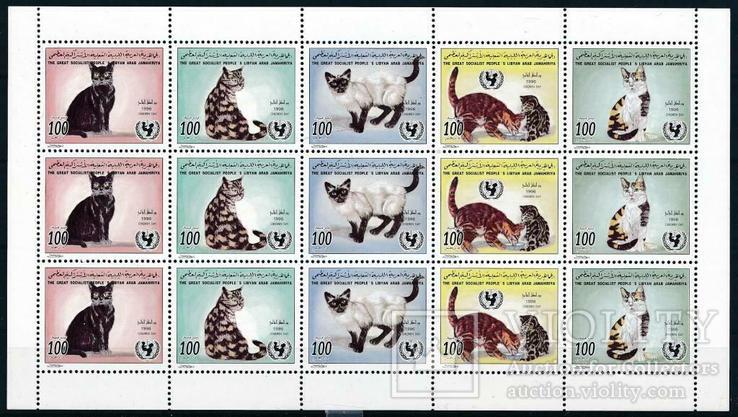 Ливия кошки, коты MNH