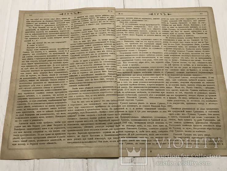 1884 К разрешению жидовского вопроса, журнал без цензуры Лучь, фото №4