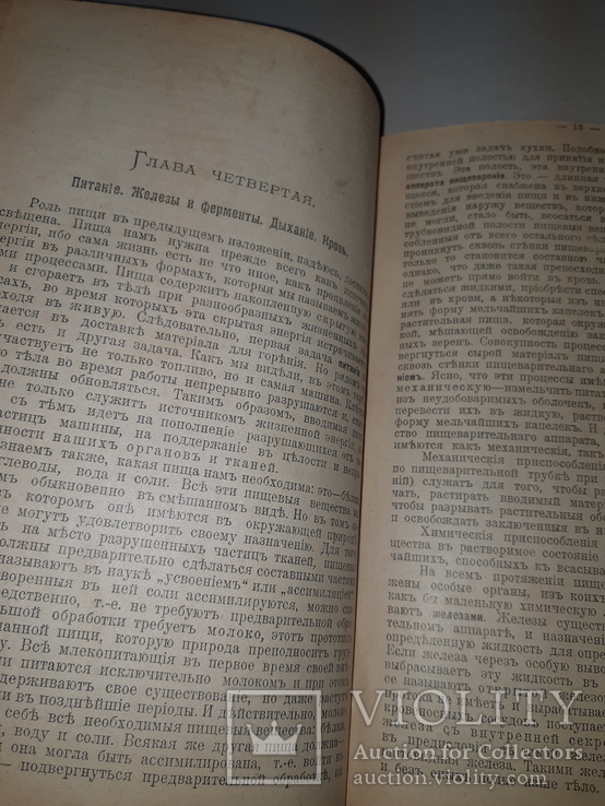 1911 Самооборона организма. Иммунитет, фото №8