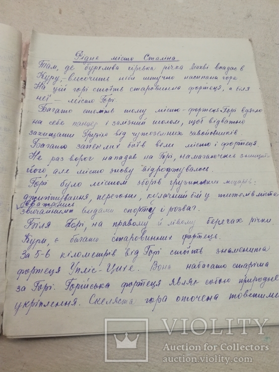 «Доклад к 70летию с дня рождения И.В.Сталина» 1949г., фото №5