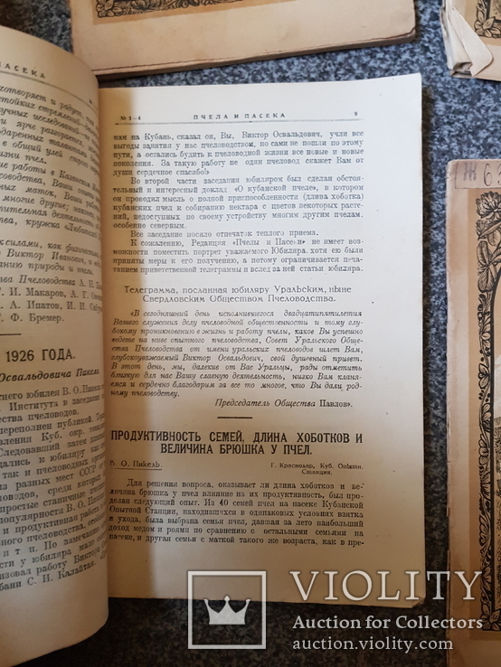 Журнал Пчела и Пасека 1926 год № 1-4,6,7-8, 9,10., фото №10