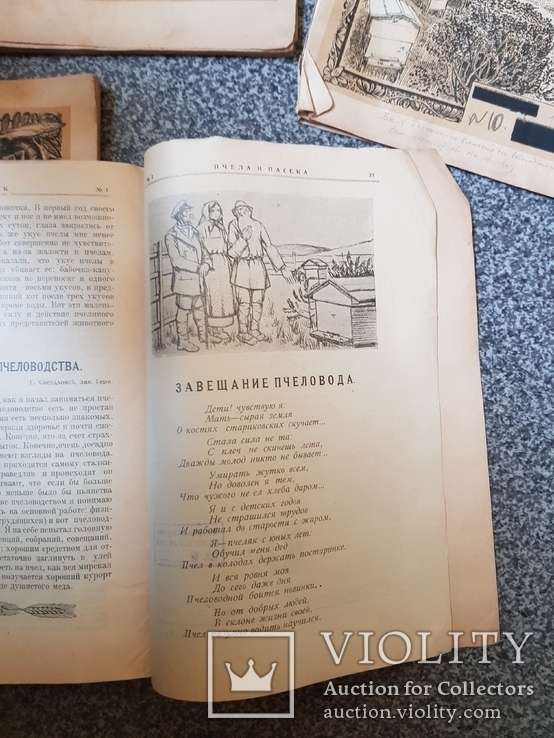 Журнал Пчела и Пасека 1926 год № 1-4,6,7-8, 9,10., фото №11
