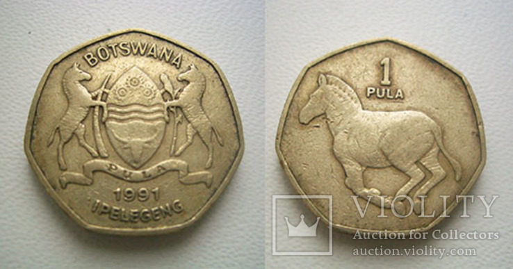 Зимбабве и Ботсвана, 2 монеты, фото №4