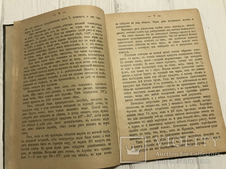 1895 Энциклопедия питания Интересы желудка, фото №4