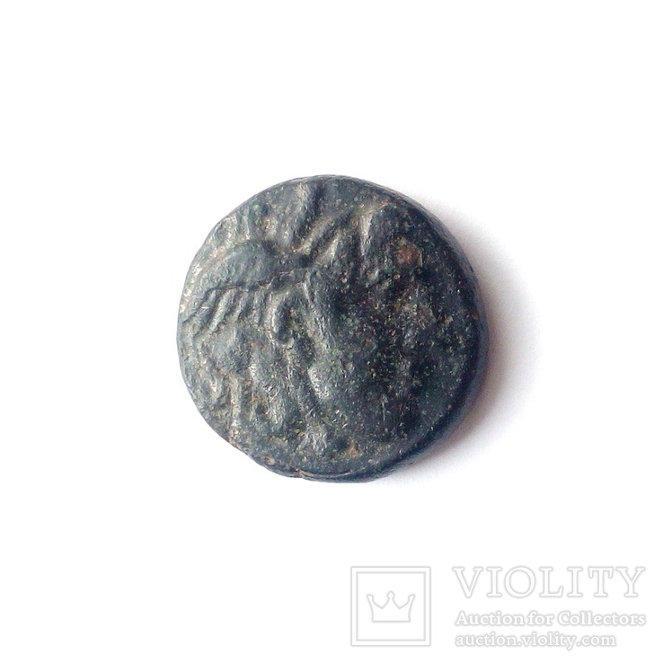 Империя Селевкидов, Селевк I Никатор, 312 - 280 гг.до н.э., фото №5