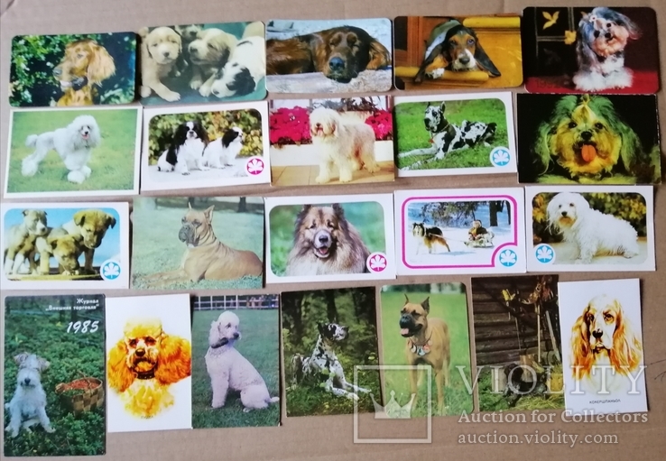 Календарики собачки. 100 шт., фото №4