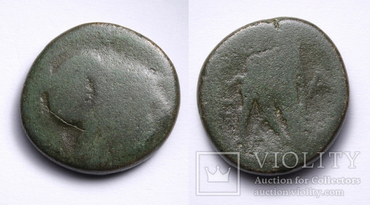 Македонське царство, Антигон ІІ Гонат, 277-239 до н.е., фото №2