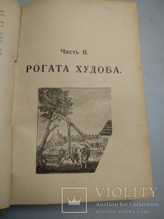 1928 Львов Лечение домашних зверей, фото №8