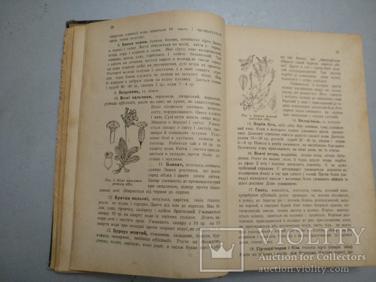 1928 Львов Лечение домашних зверей, фото №10