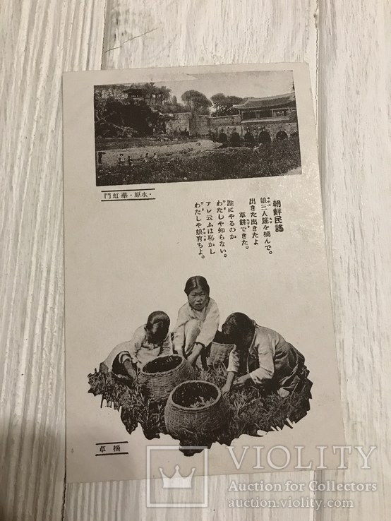 Китай, собирание урожая, Открытка до 1920 года, фото №2