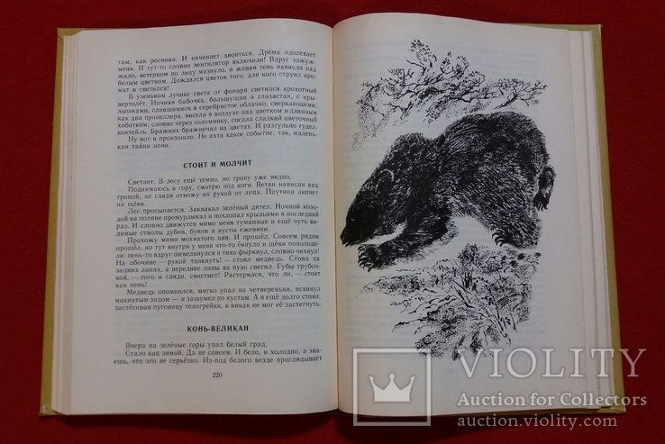 Медовый дождь.Рассказы и сказки.Н.Сладков 1984г. Ленинград., фото №7