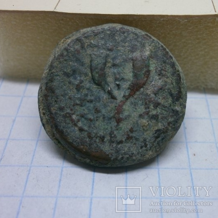 Монета Матафия Антигон, 8 прут