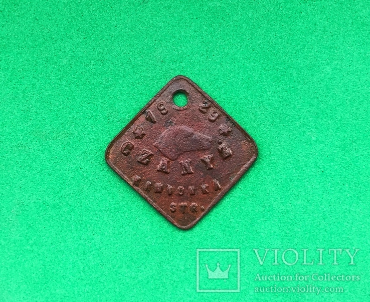 Собачий жетон 1929 год. N131, фото №2