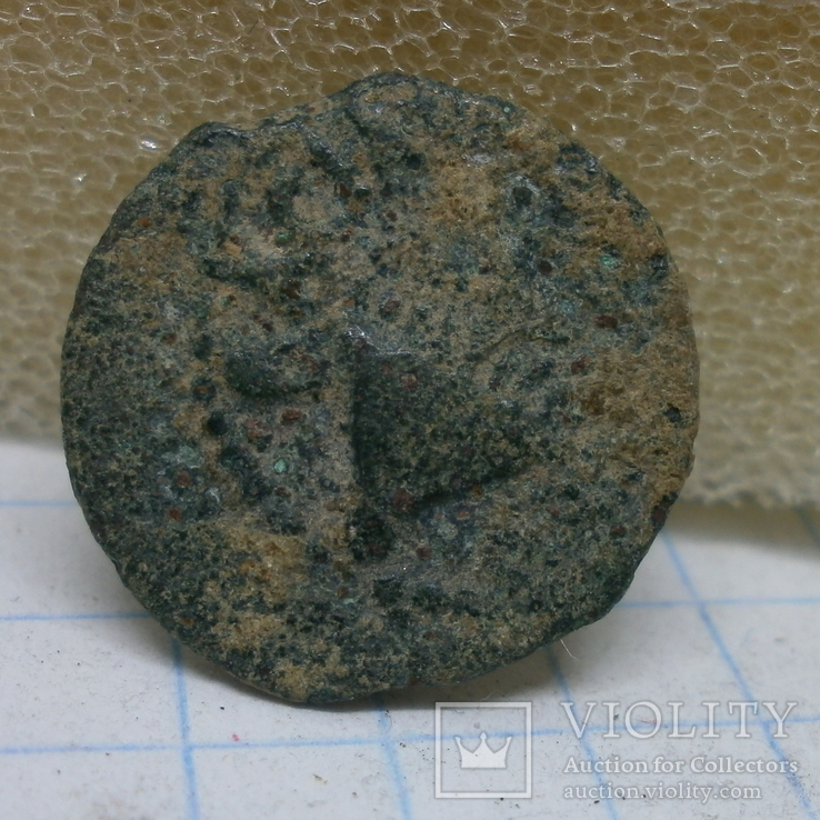 Монета Иудея, Агриппа I, прута