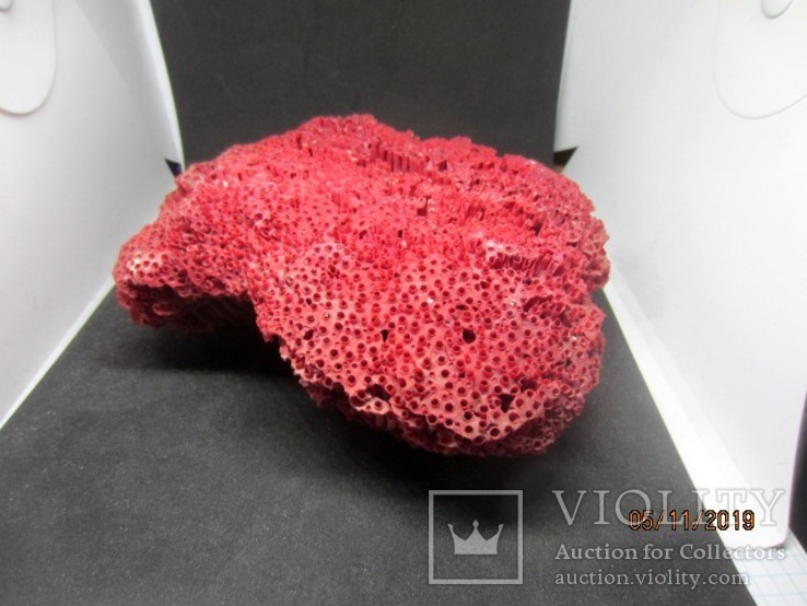 Натуральный красный коралл  (Tubipora musica) 192 гр, фото №3